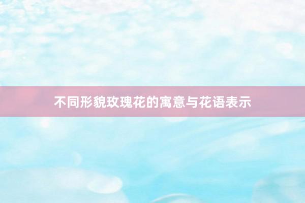 不同形貌玫瑰花的寓意与花语表示