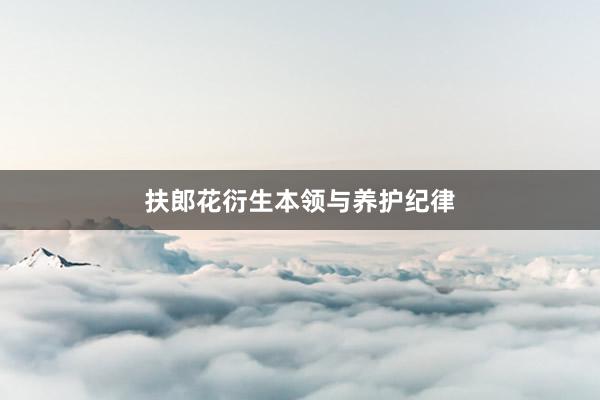 扶郎花衍生本领与养护纪律
