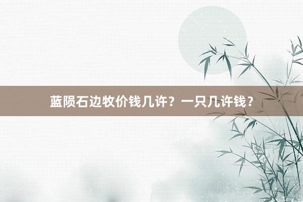 蓝陨石边牧价钱几许？一只几许钱？