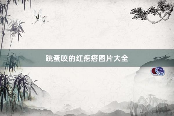 跳蚤咬的红疙瘩图片大全