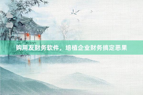 购用友财务软件，培植企业财务搞定恶果