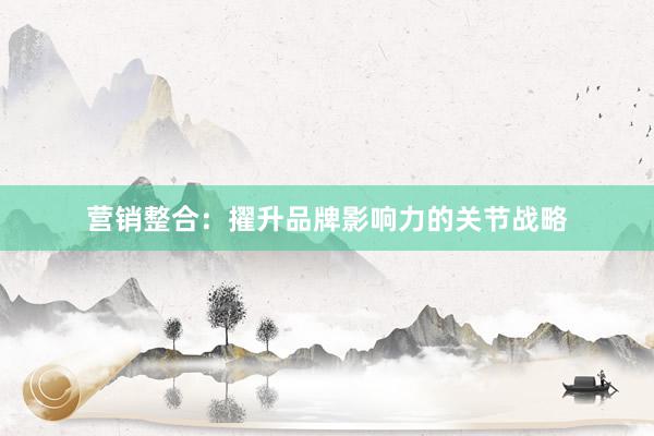 营销整合：擢升品牌影响力的关节战略